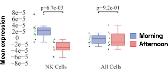 Figure 4: Cell-specific gene abundance changes in capillary blood over mornings and afternoons.